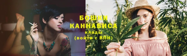 ПСИЛОЦИБИНОВЫЕ ГРИБЫ Белокуриха