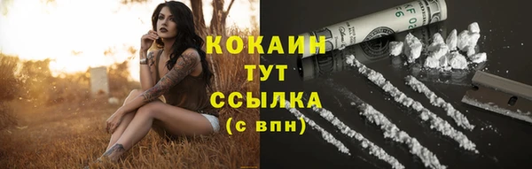 ПСИЛОЦИБИНОВЫЕ ГРИБЫ Белокуриха
