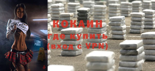 ПСИЛОЦИБИНОВЫЕ ГРИБЫ Белокуриха