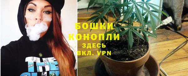 ПСИЛОЦИБИНОВЫЕ ГРИБЫ Белокуриха